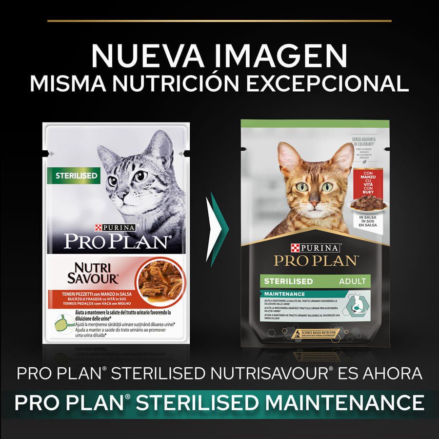 85 g Pro Plan Sterilised Maintenance saquetas com vaca em molho para gatos , , large Imagem n&uacute;mero 2