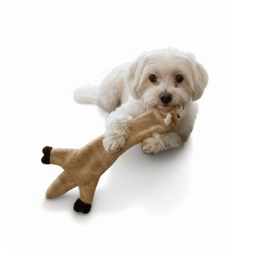 Love the Earth Peluche lhama sem enchimento para c&atilde;es, , large Imagem n&uacute;mero 6