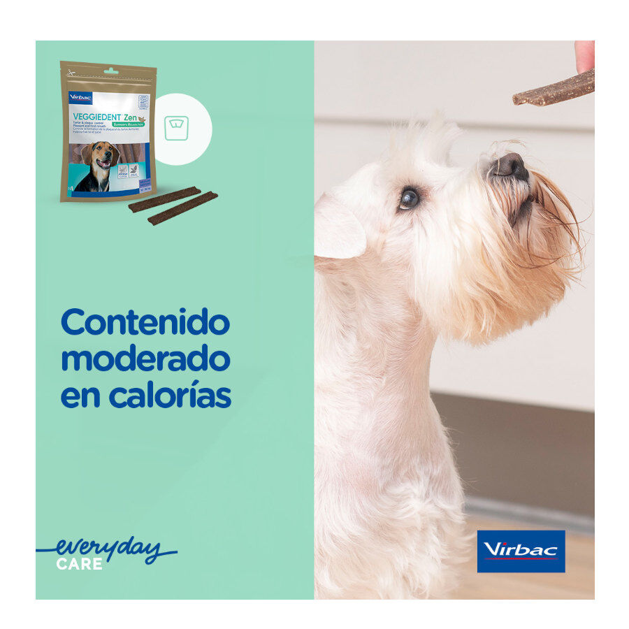 15 sticks Virbac L&aacute;minas Veggiedent Zen S para c&atilde;es, , large Imagem n&uacute;mero 9