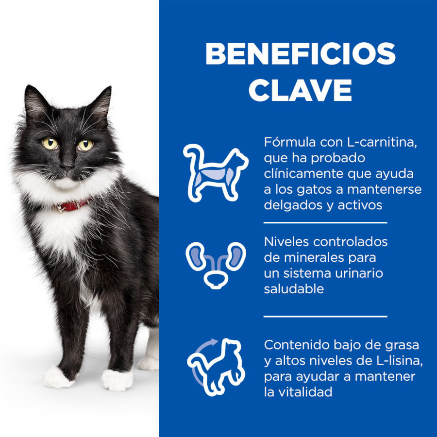 12 saquetas x 85 g Hill's Science Plan Sterilised Mature Frango saqueta de molho para gatos, , large Imagem n&uacute;mero 5