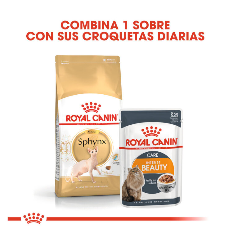 Royal Canin Adult Sphynx ração para gatos, , large image number null