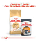 Royal Canin Adult Sphynx ração para gatos, , large image number null