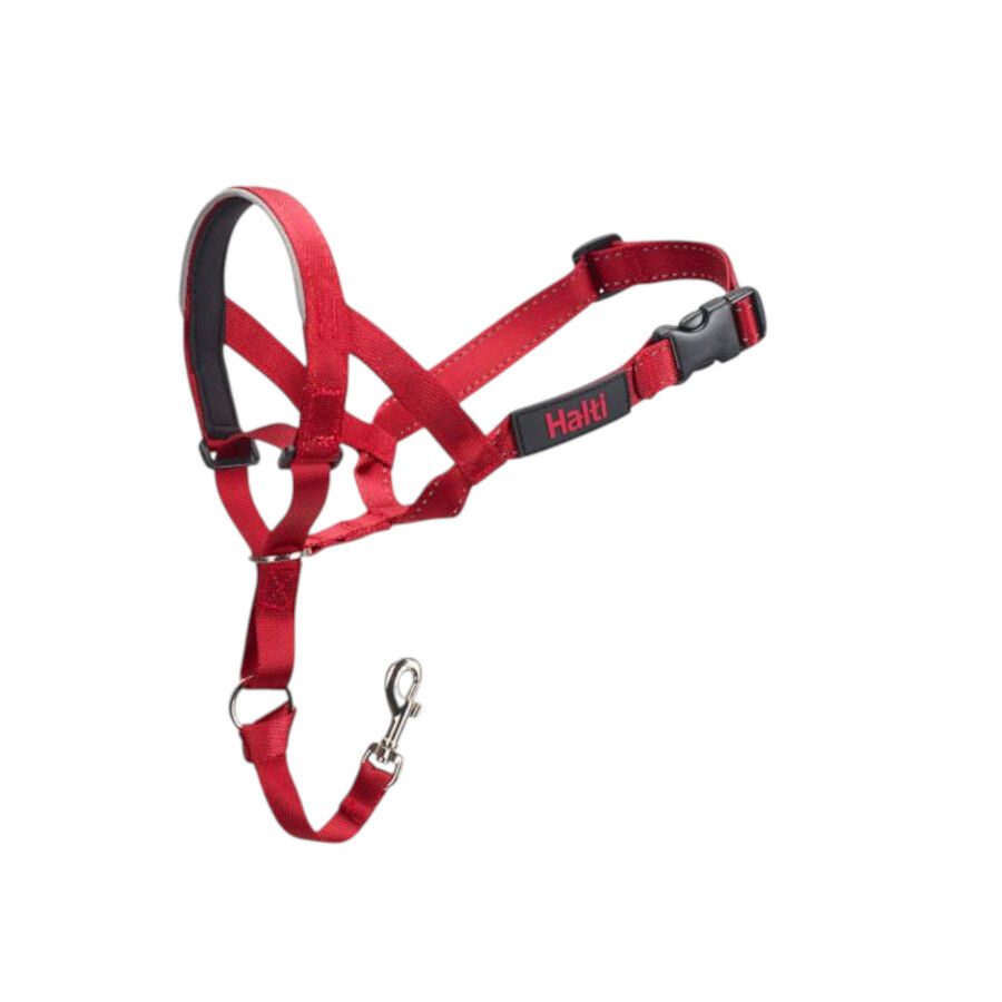 Halti Coleira anti-pux&atilde;o preta para c&atilde;es, , large Imagem n&uacute;mero 1