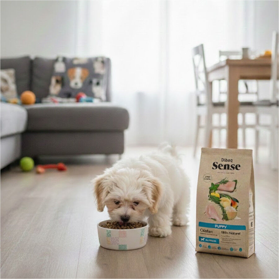 12 kg Dibaq Sense Low Grain Puppy Ra&ccedil;&atilde;o de frango para c&atilde;es, , large Imagem n&uacute;mero 4