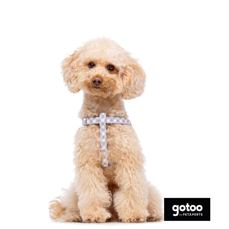 Gotoo Peitoral estampado xadrez vichy cinza para c&atilde;es, , large Imagem n&uacute;mero 3