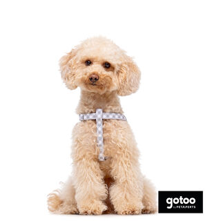 Gotoo Peitoral estampado xadrez vichy cinza para cães
