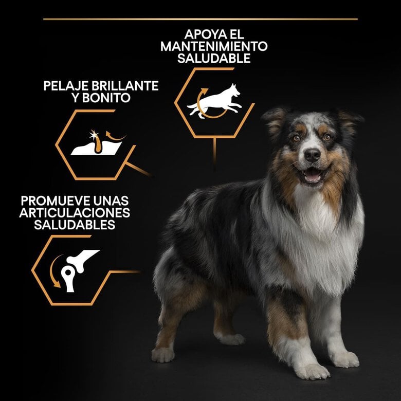 14 kg Pro Plan Medium Adult Frango ração para cães,  Imagem número 3 14 kg Pro Plan Medium Adult Frango ração para cães, , large Imagem número 3