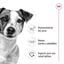 85 g Royal Canin Mini Adult saqueta em molho para cães, , large Indicador imagem número 3