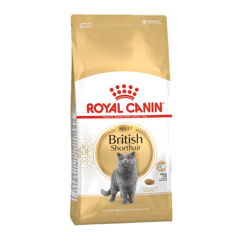 10 kg Royal Canin Adult British Shorthair ração para gatos,  Imagem número 1 10 kg Royal Canin Adult British Shorthair ração para gatos, , large Imagem número 1