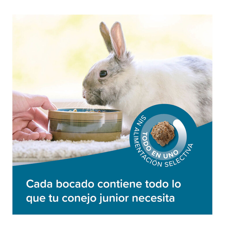 Beaphar Care + ração para coelhos Jr super premium,  Imagem número 4 Beaphar Care + ração para coelhos Jr super premium, , large Imagem número 4