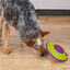 Outward Hound Treat Maze Disco interativo para cães, , large Indicador imagem número 2