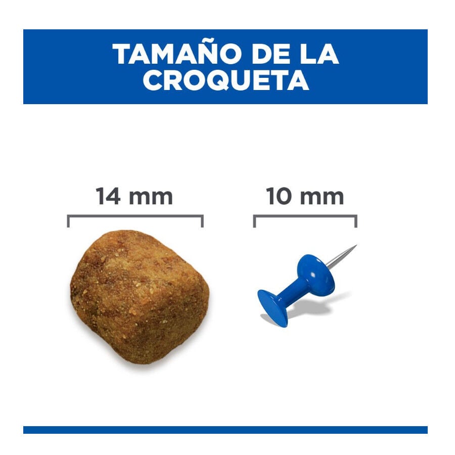 18 kg Hill's Science Plan Large Adult Frango ra&ccedil;&atilde;o para c&atilde;es, , large Imagem n&uacute;mero 8
