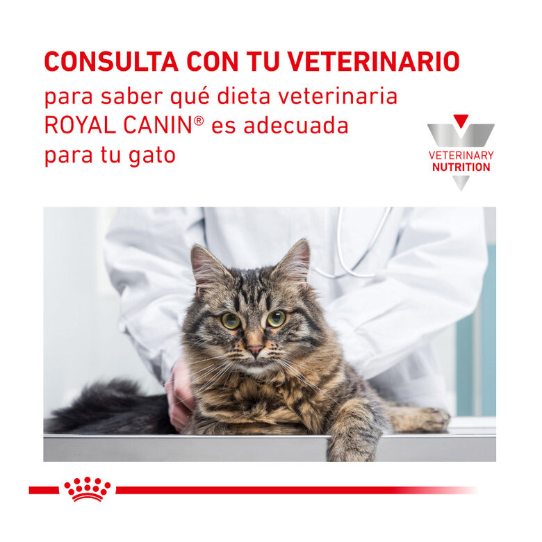 7 kg Royal Canin Veterinary Urinary ração para gatos,  Imagem número 7 7 kg Royal Canin Veterinary Urinary ração para gatos, , large Imagem número 7