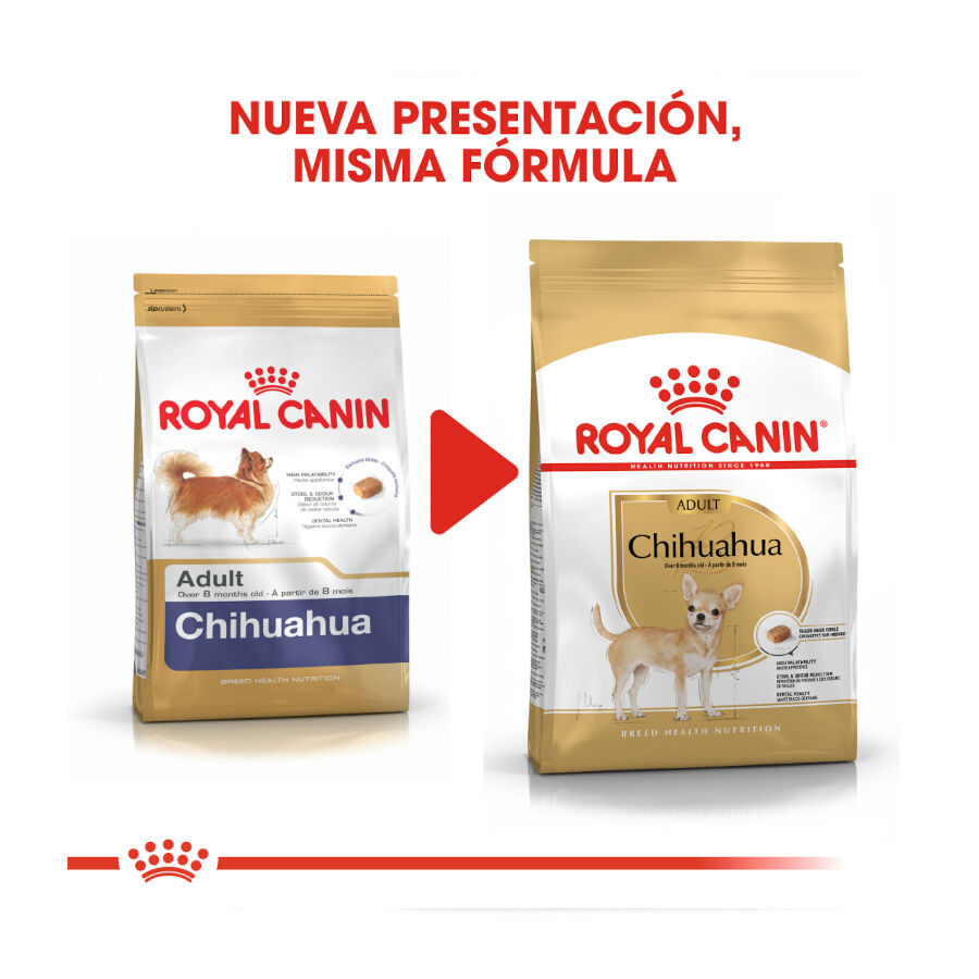 500 g Royal Canin Adult Chihuahua ra&ccedil;&atilde;o para c&atilde;es, , large Imagem n&uacute;mero 3