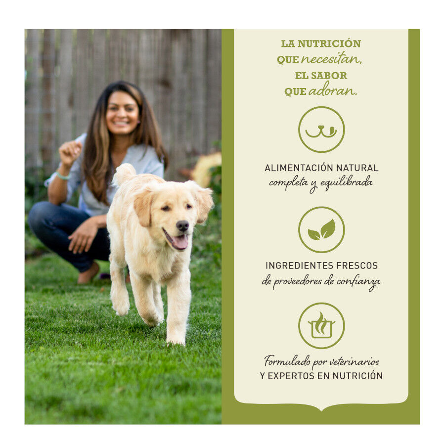 4.5 kg Acana Highest Protein Indoor Ra&ccedil;&atilde;o de frango, salm&atilde;o e truta para gatos, , large Imagem n&uacute;mero 3