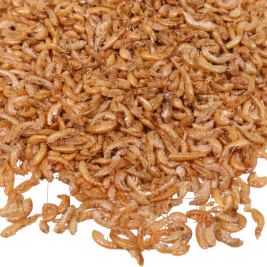 JBL Proterra Gammarus Desidratados para tartarugas, , large Imagem n&uacute;mero 2