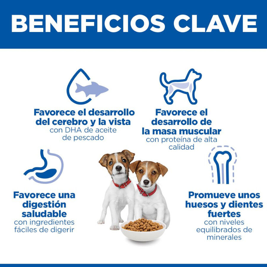 6 kg Hill's Science Plan Puppy Small & Mini Ra&ccedil;&atilde;o de cordeiro e arroz para c&atilde;es, , large Imagem n&uacute;mero 5