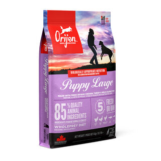 Orijen Puppy Large ração para cães