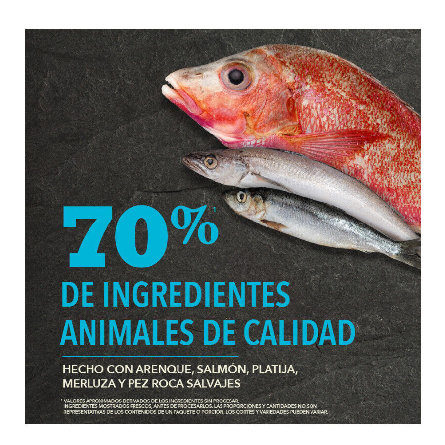 2 x 6 kg Acana Regionals Pac&iacute;fica Peixe Ra&ccedil;&atilde;o para c&atilde;es Pack poupan&ccedil;a!, , large Imagem n&uacute;mero 6