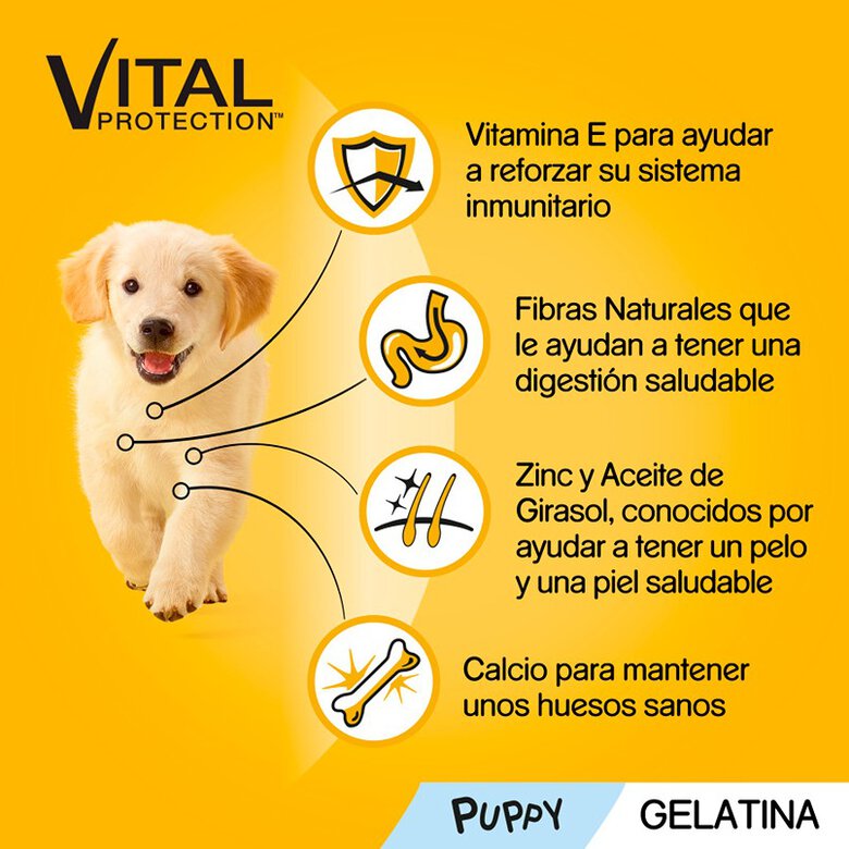 Pedigree Junior Vital Protection Geleia saqueta para cães - Pack 4, , large image number null