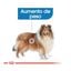 12 kg Royal Canin Maxi Light Weight Care ração para cães, , large Indicador imagem número 5