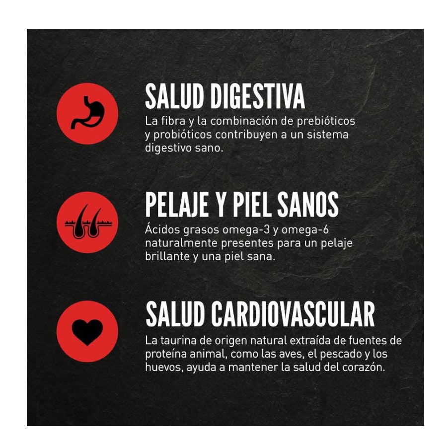 5.4 kg Orijen Original ra&ccedil;&atilde;o para gatos e gatinhos, , large Imagem n&uacute;mero 4