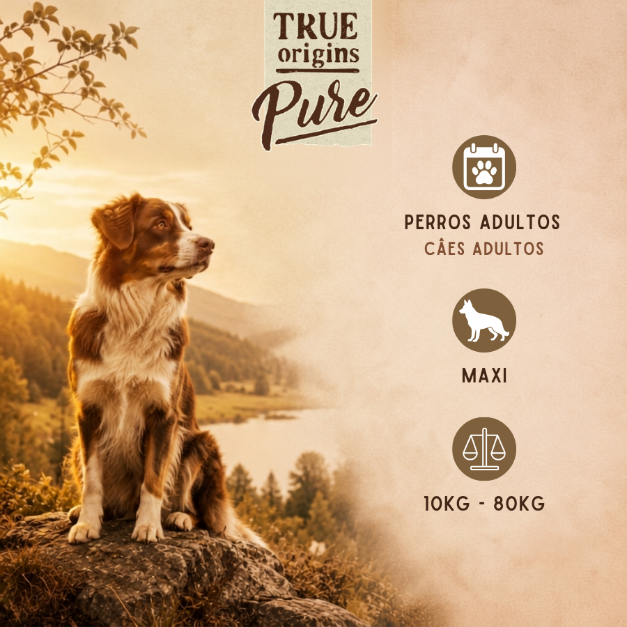 12 kg True Origins Pure Adult Maxi Pollo ra&ccedil;&atilde;o para c&atilde;es, , large Imagem n&uacute;mero 3