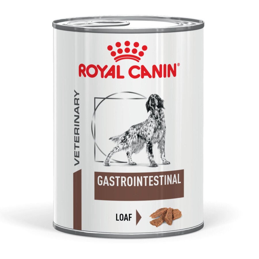 400 g Royal Canin Veterinary Diet Gastrointestinal lata para c&atilde;es, , large Imagem n&uacute;mero 1