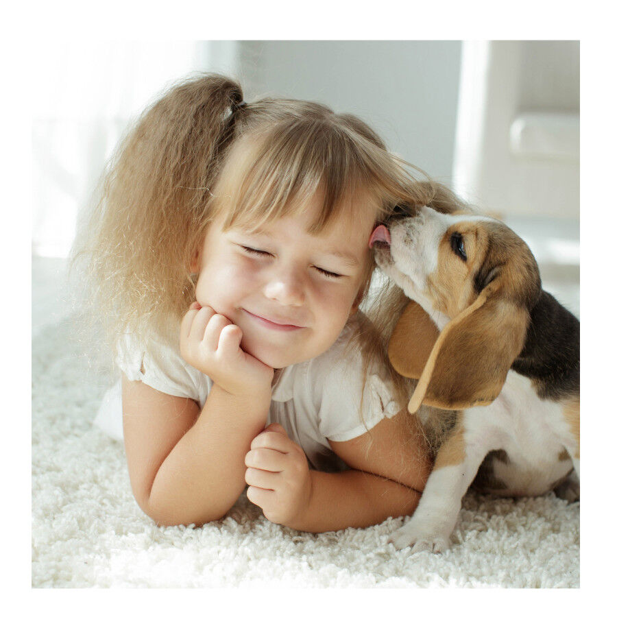 Beaphar Fiprotec Spray Antiparasit&aacute;rio para c&atilde;es e gatos, , large Imagem n&uacute;mero 3