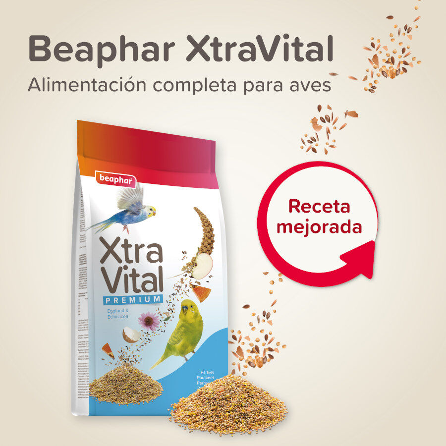 Mistura de sementes Beaphar XtraVital Premium para periquitos, , large Imagem n&uacute;mero 2