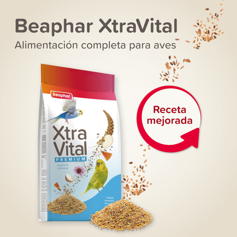Mistura de sementes Beaphar XtraVital Premium para periquitos,  Imagem número 2 Mistura de sementes Beaphar XtraVital Premium para periquitos, , large Imagem número 2