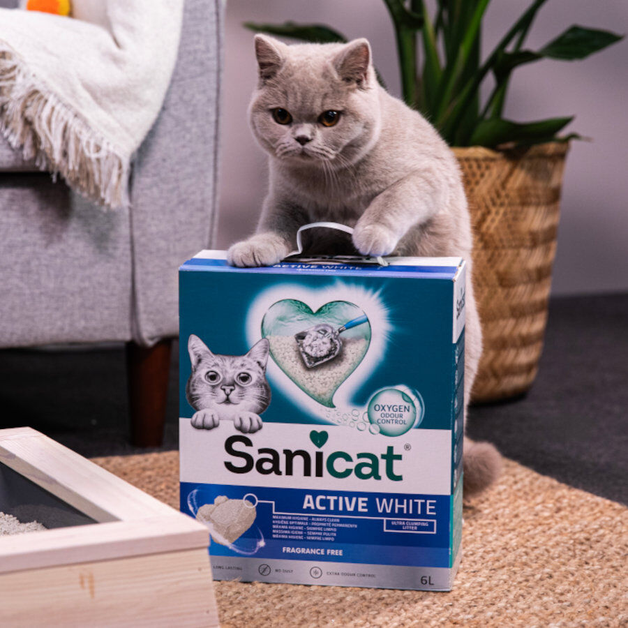 6 L Sanicat Clumping White Areia Aglomerante Branca para gatos, , large Imagem n&uacute;mero 3