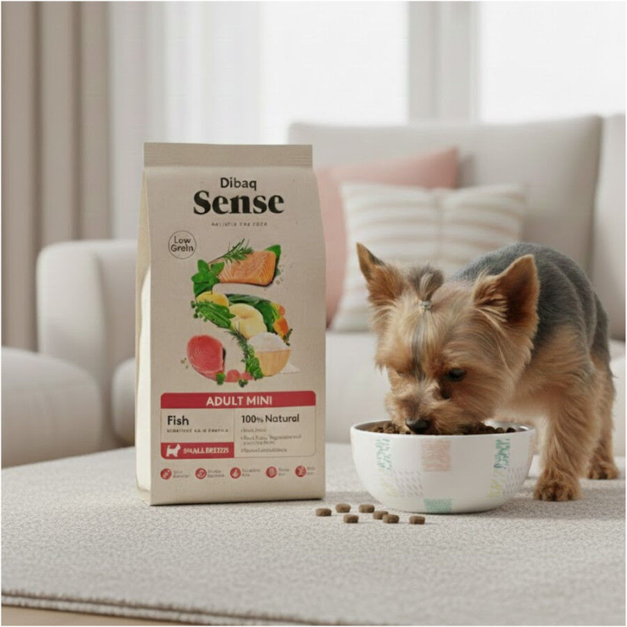 2 kg 2 kg Dibaq Sense Low Grain Ault Mini Ra&ccedil;&atilde;o de Peixe para c&atilde;es, , large Imagem n&uacute;mero 5