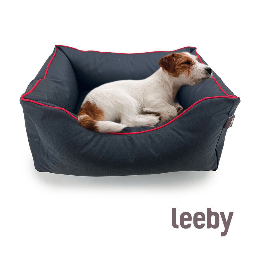 Leeby Alcofa waterproof Anti Pelos Preta para c&atilde;es, , large Imagem n&uacute;mero 1