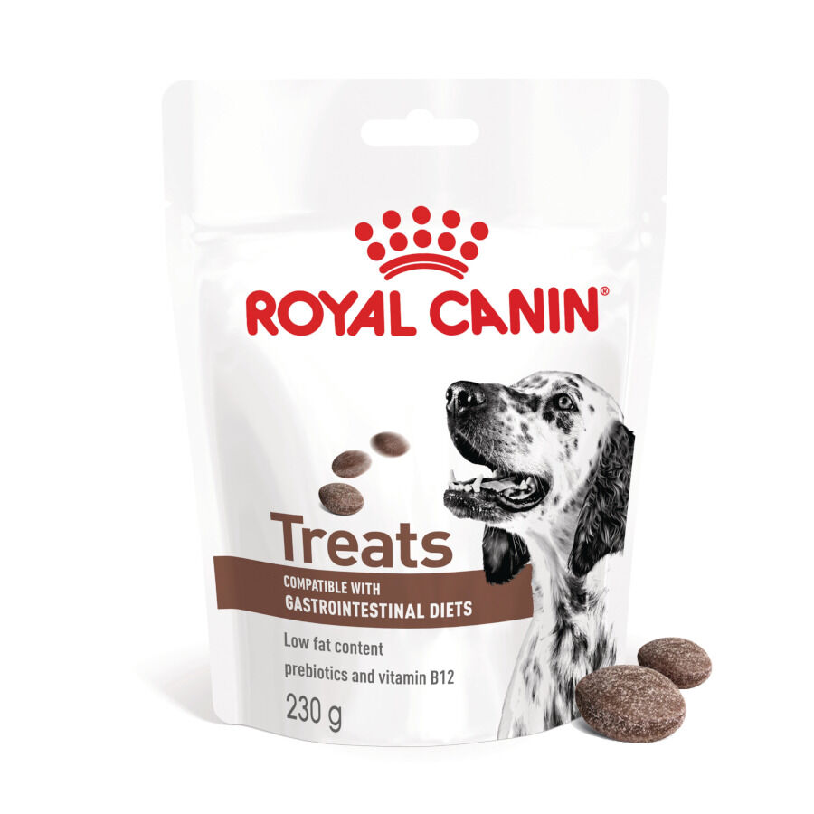 230 g Royal Canin Treats Gastrointestinal Snacks para c&atilde;es, , large Imagem n&uacute;mero 1