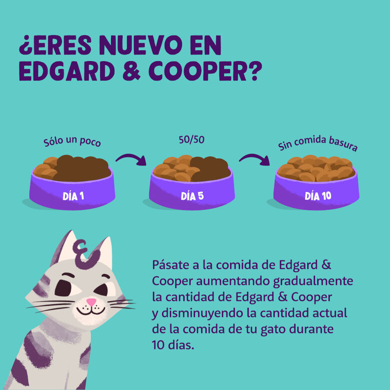 Edgard & Cooper Adult Peru e Frango em Patê terrina para gatos, , large image number null
