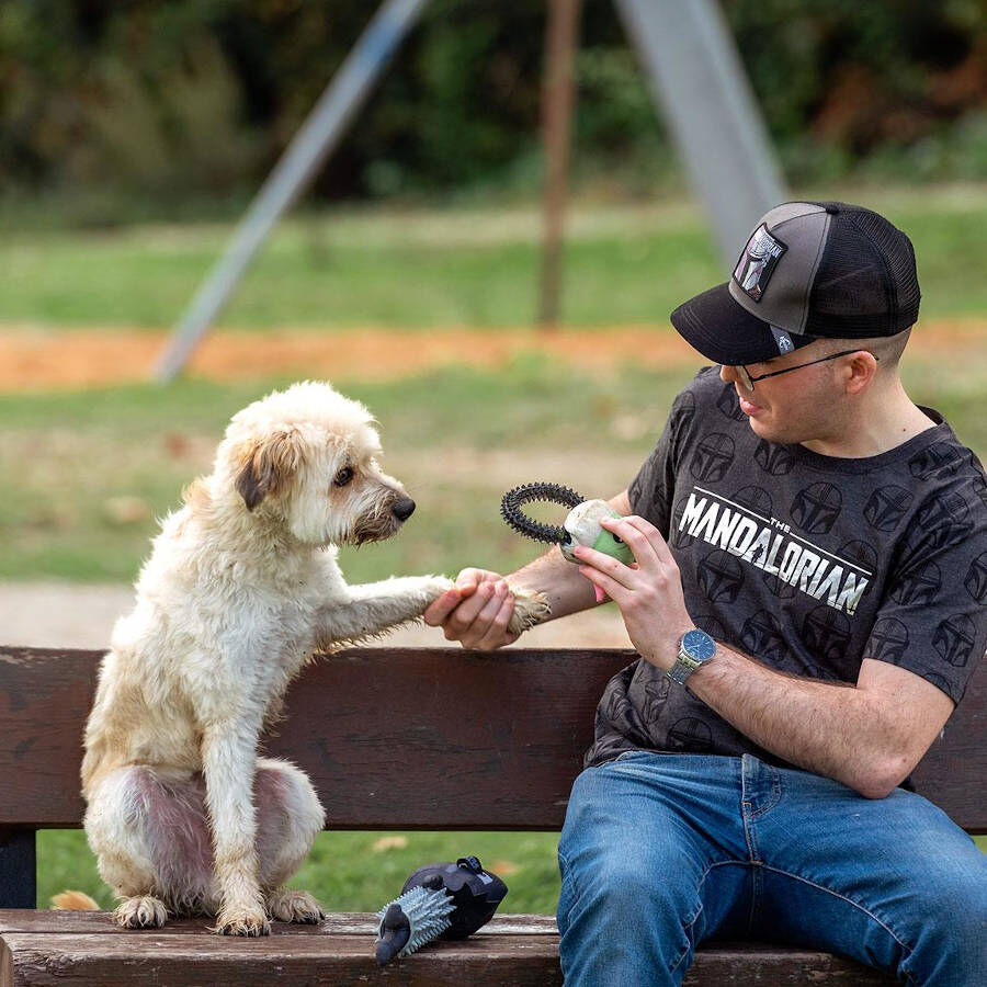 Disney Star Wars The Mandalorian Grogu Mordedor para c&atilde;es, , large Imagem n&uacute;mero 4