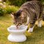 Leeby Comedouro Elevado Inclinado de Cer&acirc;mica Branco para gatos, , large Indicador imagem n&uacute;mero 1