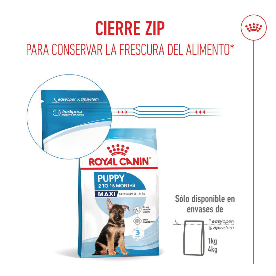 15 kg Royal Canin Puppy Maxi ra&ccedil;&atilde;o para c&atilde;es, , large Imagem n&uacute;mero 8