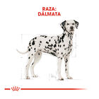 Royal Canin Adult Dálmata ração para cães, , large image number null