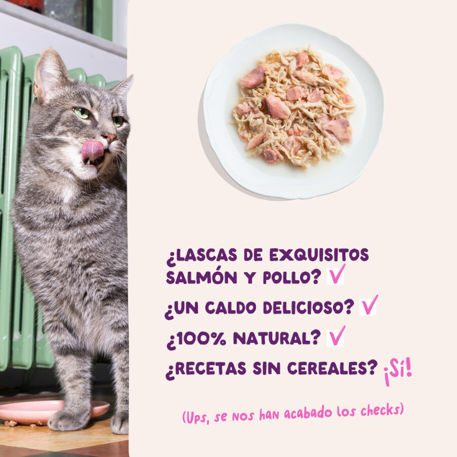 70 g Edgard & Cooper Filetes de Salm&oacute;n y Pollo Lata para gatos, , large Imagem n&uacute;mero 4