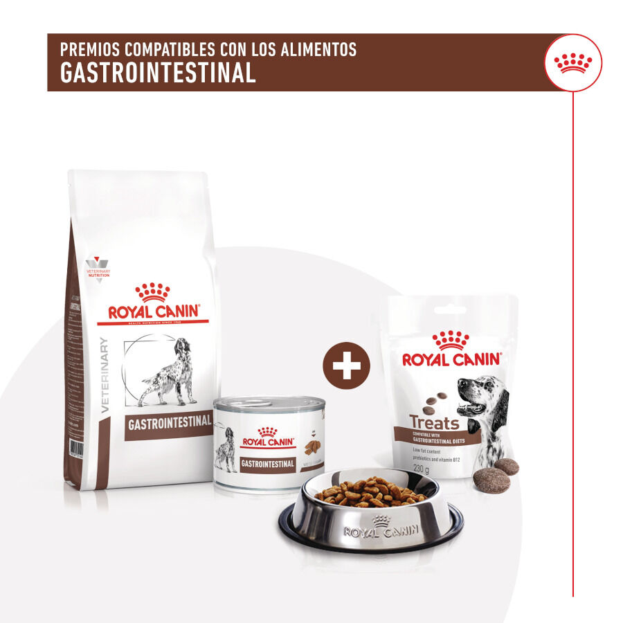 230 g Royal Canin Treats Gastrointestinal Snacks para c&atilde;es, , large Imagem n&uacute;mero 7