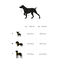 Dukier Skulls Peitoral clássico com estampado de caveiras para cães, , large Indicador imagem número 3