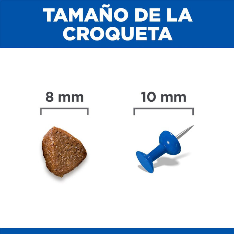 1.5 kg Hill's Kitten Science Plan Perfect Digestion Ração,  Imagem número 4 1.5 kg Hill's Kitten Science Plan Perfect Digestion Ração, , large Imagem número 4