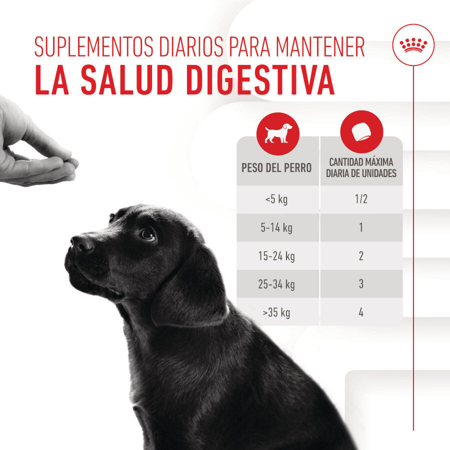 100 g Royal Canin Immunity & Digestion Chews Puppy Suplemento Nutricional para C&atilde;es, , large Imagem n&uacute;mero 7