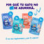 12 x 85 g Edgard & Cooper Catch of the day em molho em saquetas para gatos, , large Indicador imagem n&uacute;mero 2