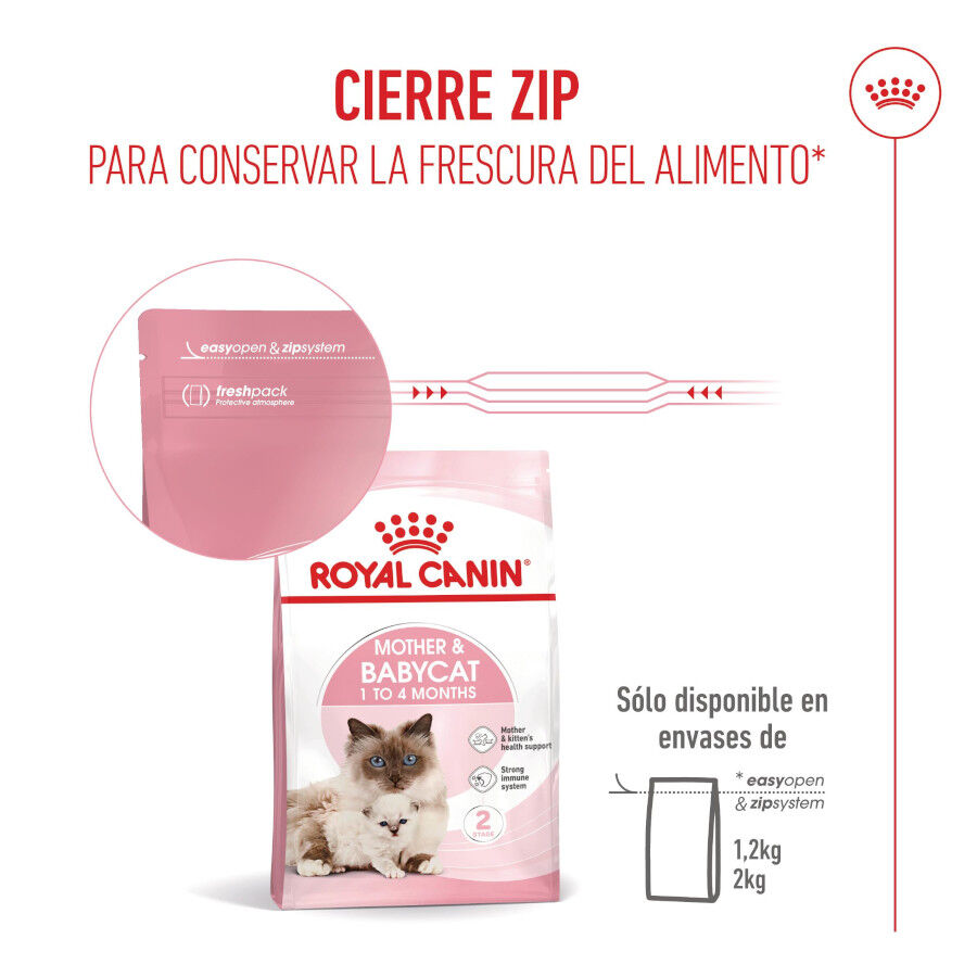 10 kg Royal Canin Mother & Baby ra&ccedil;&atilde;o para gatos, , large Imagem n&uacute;mero 11