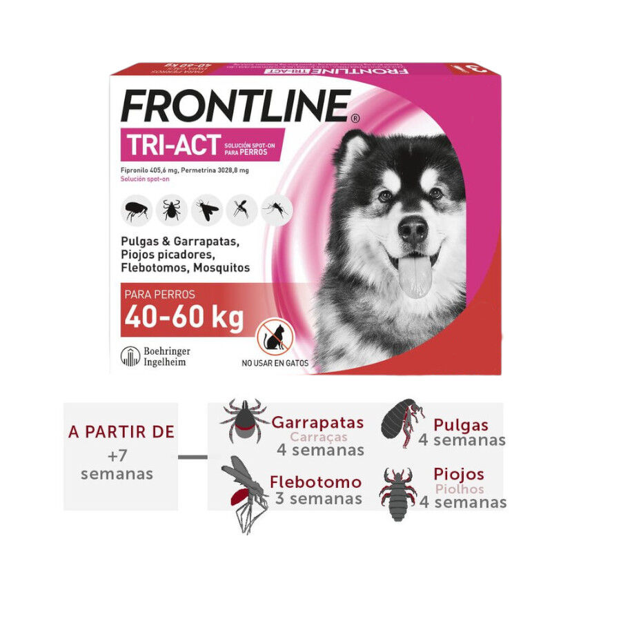 Frontline Tri-Act Pipetas antiparasit&aacute;rias para c&atilde;es 40 - 60 kg, , large Imagem n&uacute;mero 1