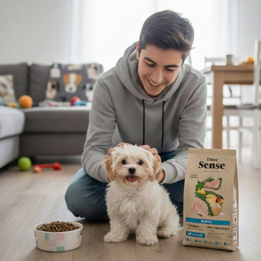 12 kg Dibaq Sense Low Grain Puppy Ra&ccedil;&atilde;o de frango para c&atilde;es, , large Imagem n&uacute;mero 3