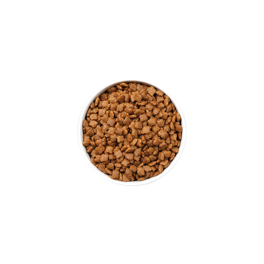 Ownat Ultra Mature Ra&ccedil;&atilde;o de frango e peru para gatos, , large Imagem n&uacute;mero 2